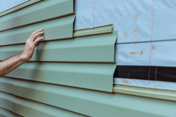 Best Custom Trim and Detailing for Siding  in Joseph City, AZ